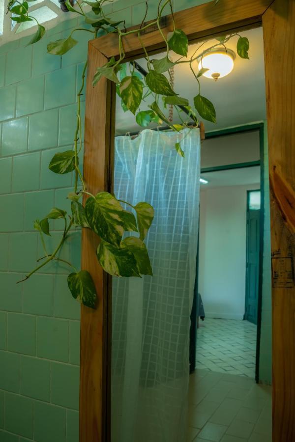 La Casa Del Sombrero Apartment Santa Marta  Bagian luar foto